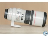 Canon 300mm f4 lens.