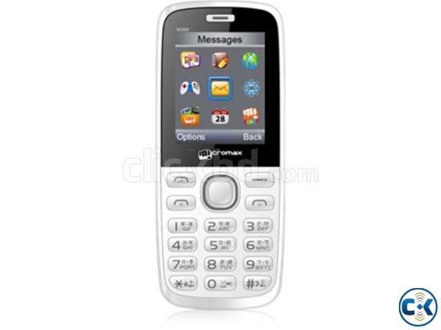 Micromax CDMA GSM 313 large image 0