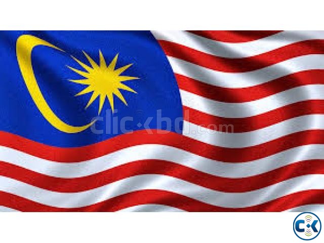 Malaysia Professional Work Visa DP-10  large image 0