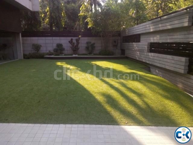 Artificial Grass large image 0