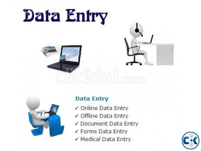 অনলাইন ডাটা এন্ট্রি Data Entry large image 0
