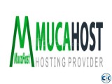 Cheapest Web Hosting Domain Registration in Bangladesh