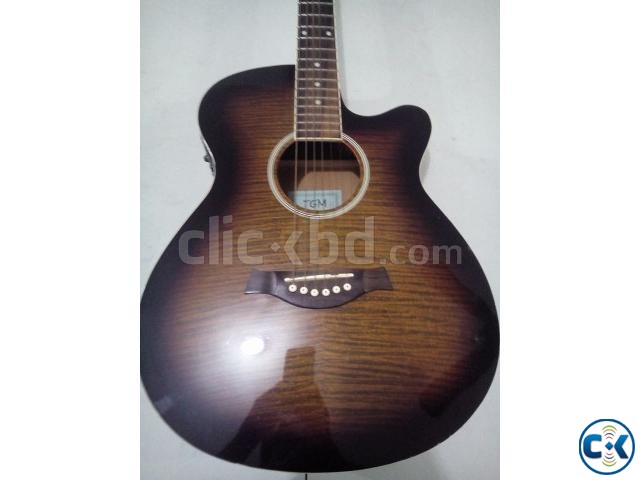 TGM Semi-Acoustic Guitar for Sale large image 0