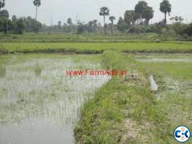 80 Bigha LAND for SALE large image 0