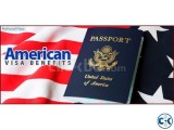 USA Non Immigrant VISA