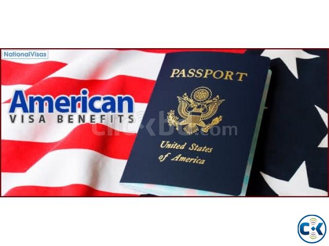 USA Non Immigrant VISA large image 0