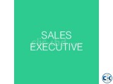 Sales Executive