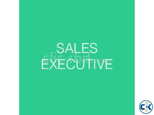 Sales Executive large image 0