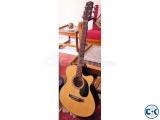 SX Acoustic Guitar for SALE 