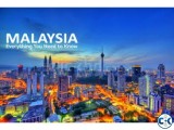 Malaysia visa in blank passport
