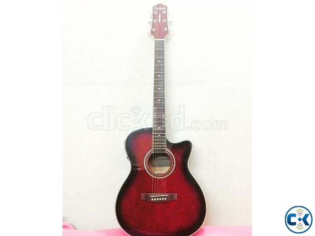 Acoustic guitar Brand name custom large image 0