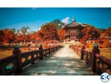 Amazing Study and Work Opportunity In South Korea Study