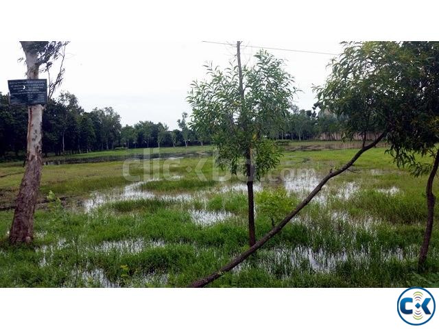 15-17 BIGHA LAND BESIDE 100 FEET ROAD IN BOGRA FOR SALE large image 0