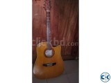 Signature Jumbo Guiter