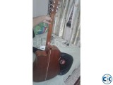 Fanndec acoustic guitar