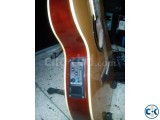 Acoustic electric guitar