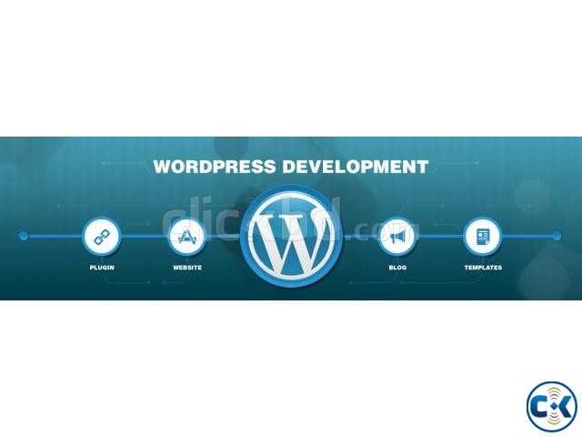 Wordpress Theme and Plugin Developer large image 0