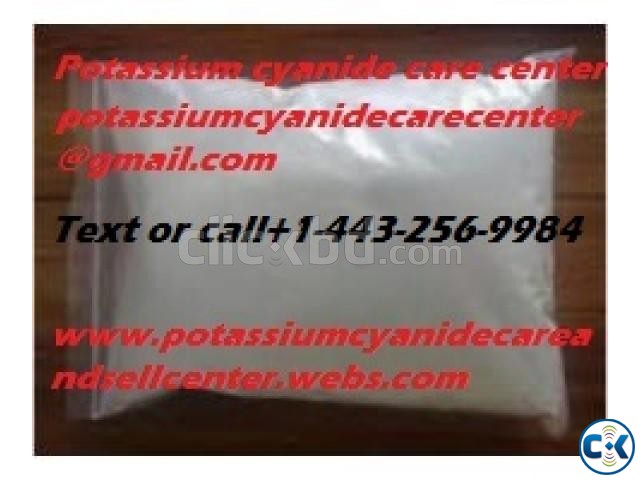 potassium cyanide pills for sale large image 0