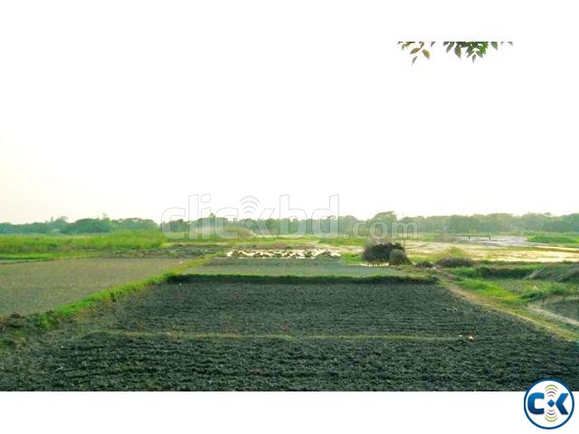 16 Katha Land near Bosilla and Savar large image 0