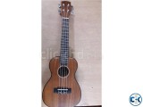 Brand NEW Concert Winfer UKULELE