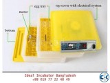 Egg Incubator