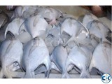 Rupchada Silver pomfret