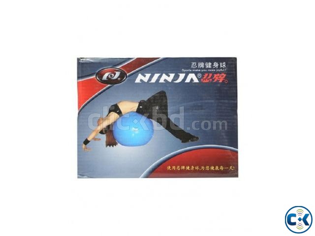 Ninja Plain Gym Ball Blue large image 0