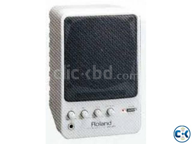 Roland ma-20 speaker large image 0