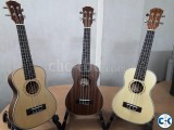 Proffesional William Concert Ukulele