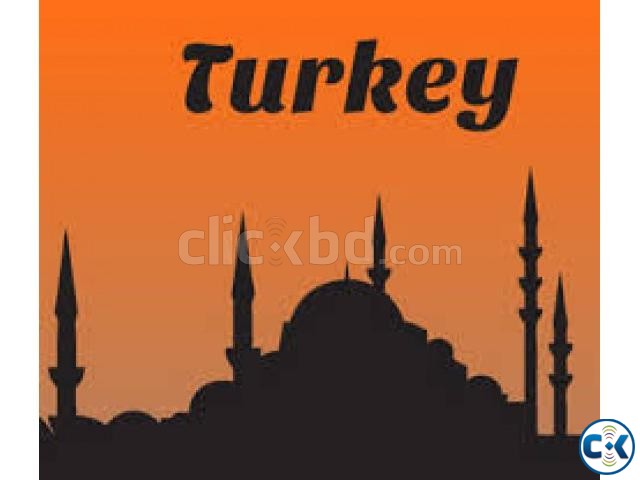 TURKEY TOURIST VISA GUARANTY large image 0