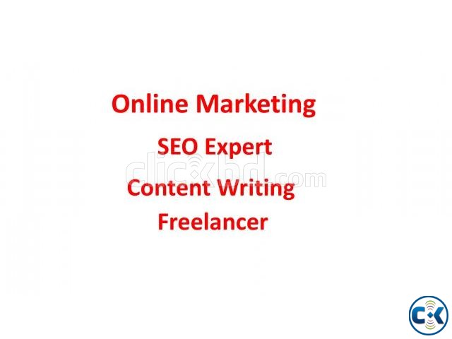 Online Marketing SEO Expert large image 0