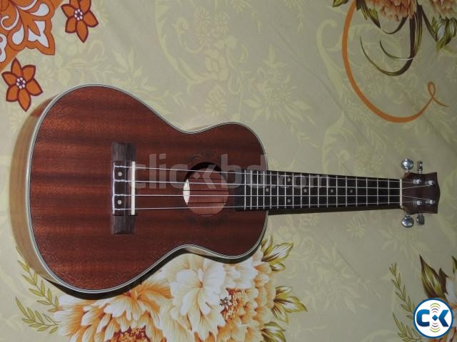 Ukulele - Axe Brand large image 0