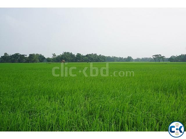 39 Decimal Land in Narshingdi large image 0