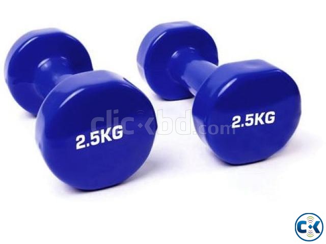 Vinyl Dumbbell Sky Blue -3 KG 1Pcs large image 0