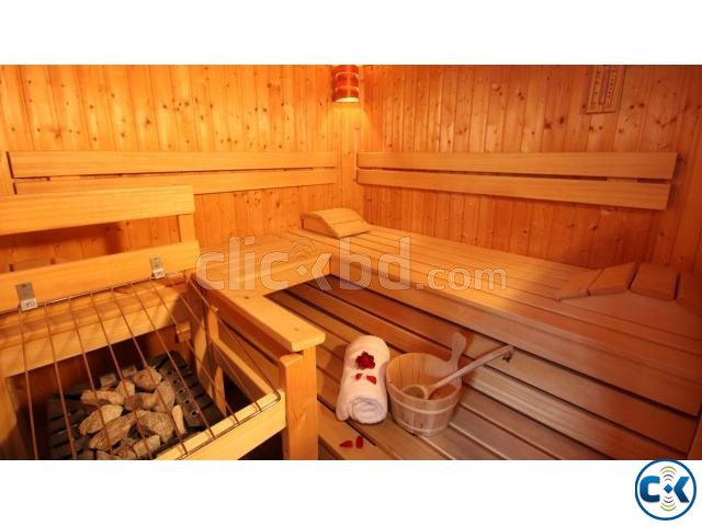 Steam bath Sauna Dhaka large image 0