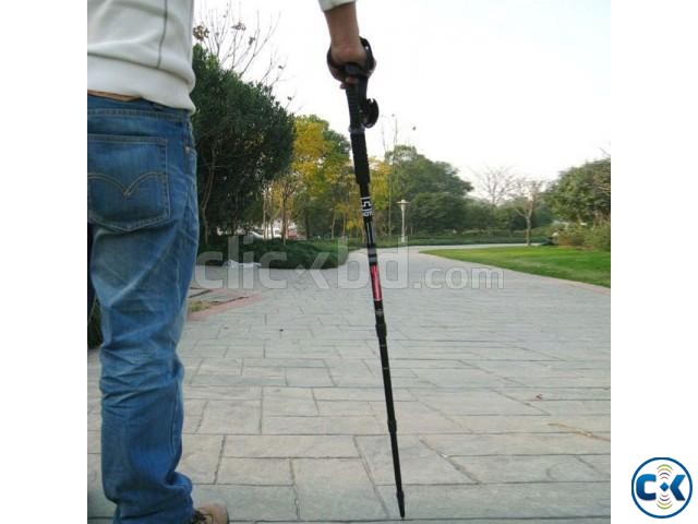 Adjustable Adventure Stick large image 0