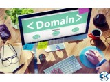 Domain Hosting Offer