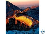 China 6 Month Multiple Visa Offer