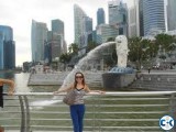 Singapore tourist medical working visa processing