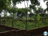 Land for Sale in Birulia