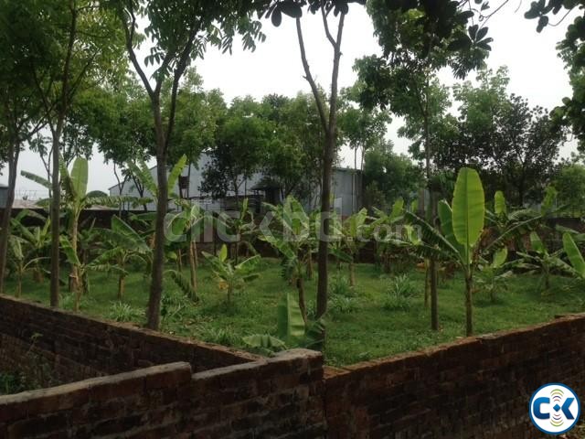 Land for Sale in Birulia large image 0