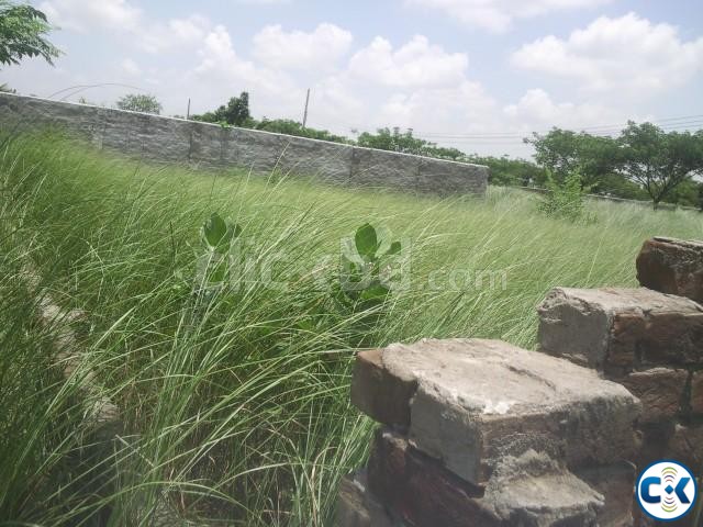 2.5 ktha plot in Green Model Town Manda Mugda large image 0