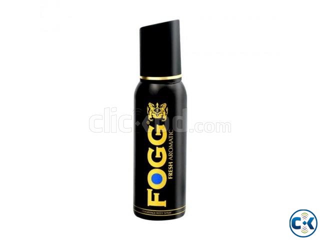 FOGG Fresh Aromatic Fragrance Body Spray large image 0