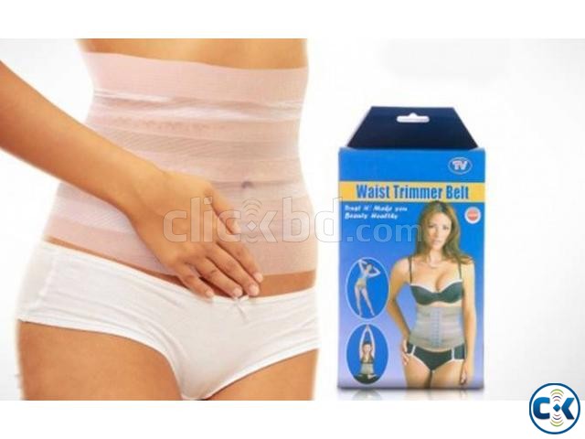 Waist Trimmer Belt 01838318763 large image 0