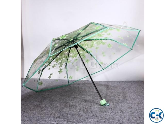 TRANSPARENT UMBRELLA - GREEN large image 0