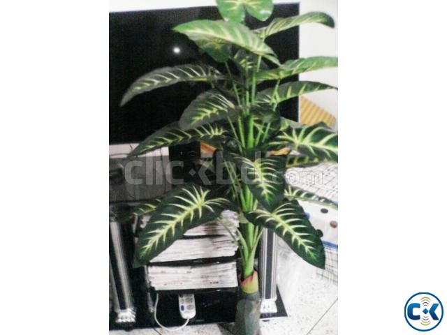 Artificial Plant Home Office Decore-কৃত্রিম কচু গাছ large image 0