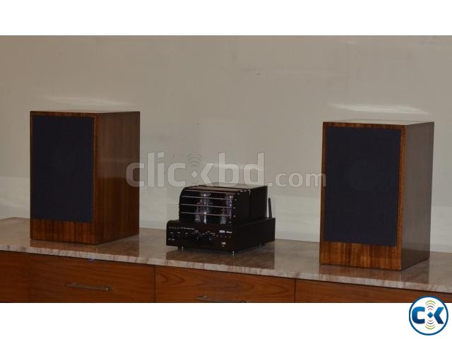 Bookshelf Speaker and Hybrid Tube Amplifier Set large image 0