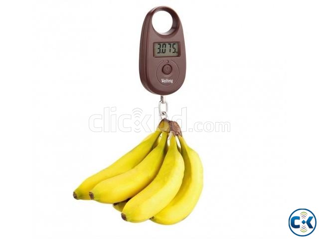 Mini Electric Scale max 25kg-ওজন করার জন্য আর নয় ছোটাছুটি large image 0