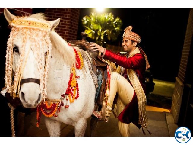 Horse Ghora Rental and Horse Carriage Rental in Dhaka large image 0