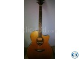 Yamaha Semi Acoustic Guitar